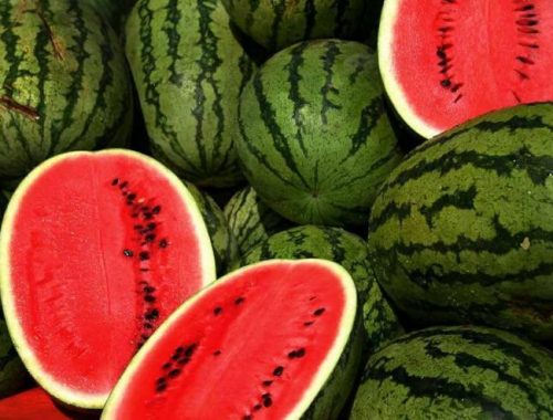 Veliko Tarnovo Watermelon Festival