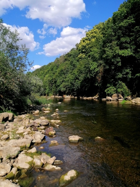 Yantra river