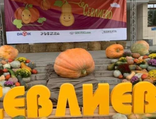 festival near Veliko Tarnovo