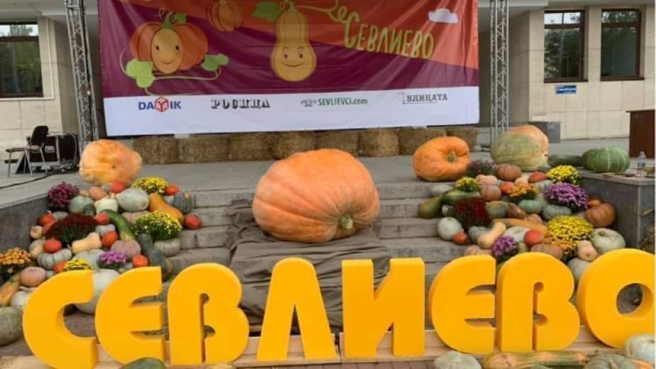 festival near Veliko Tarnovo